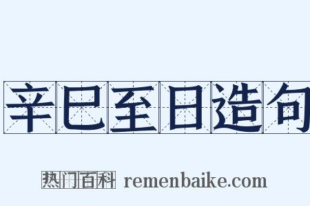 辛巳至日造句是什么意思的图片